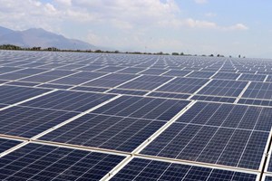 MAI TIẾN PHÁT CẤP CÁP ĐIỆN NLMT CADIVI TẠI NHÀ MÁY ĐIỆN MẶT TRỜI SOLAR FARM NHƠN HẢI