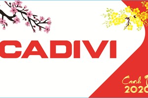 CÔNG TY CADIVI TỔ CHỨC THÀNH CÔNG BUỔI HỌP MẶT KHÁCH HÀNG MIỀN BẮC MỪNG XUÂN 2020