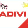 CÔNG TY CADIVI TỔ CHỨC THÀNH CÔNG BUỔI HỌP MẶT KHÁCH HÀNG MIỀN BẮC MỪNG XUÂN 2020